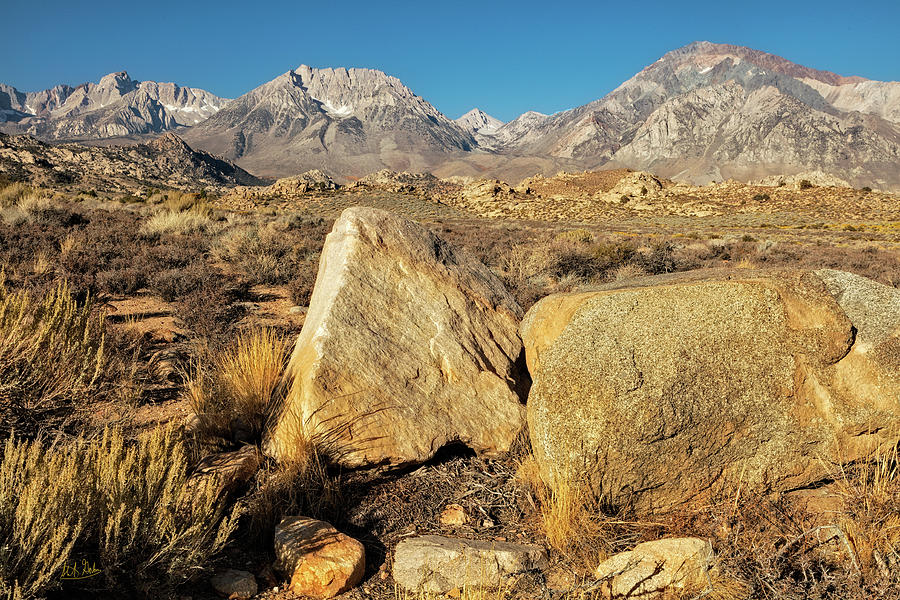 Sierra Vista by Stuart Gordon Sierra Vista by Stuart Gordon