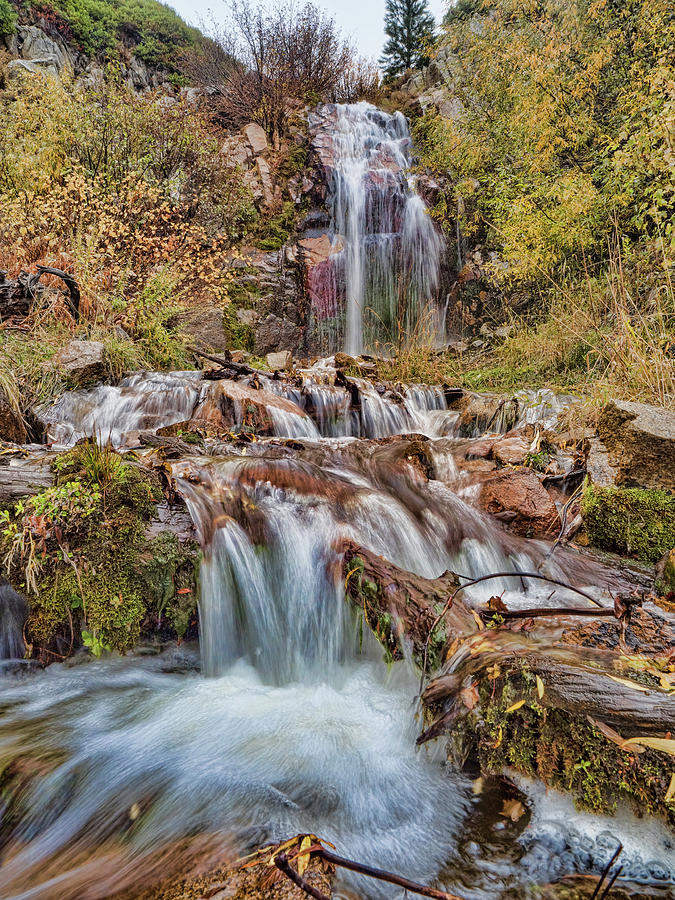 Sierra Waterfall Photograph by Martin Gollery