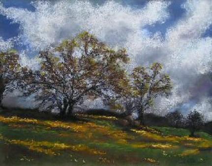 Pastel Painting - Sierra Wildflowers by Brenda Williams Pastel Painting - Sierra Wildflowers by Brenda Williams