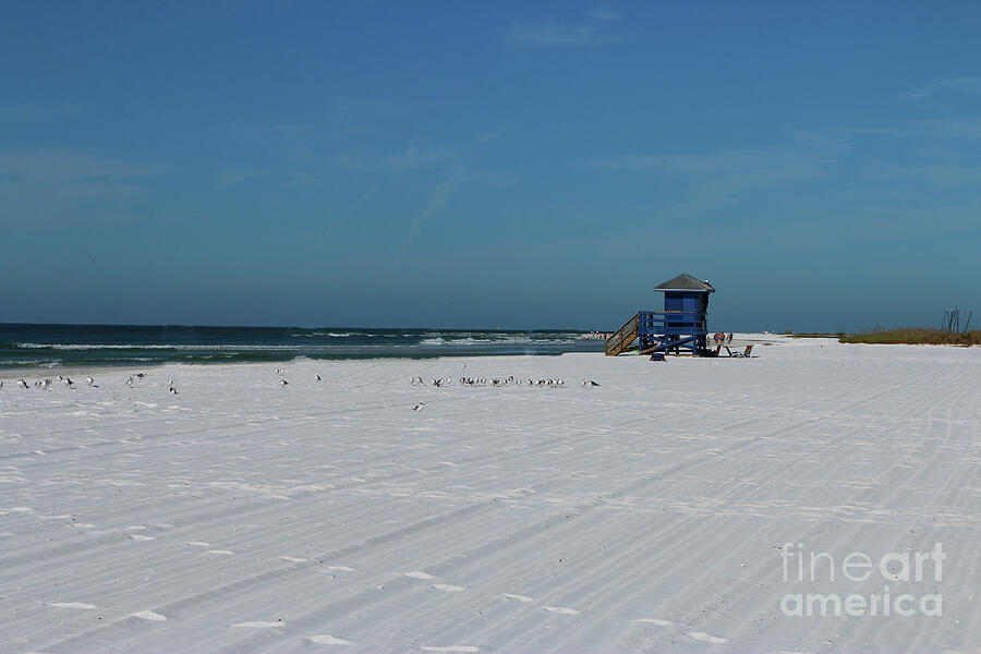 Siesta Key Beach With Blue Lifeguard Station Photograph by Christiane Schulze Art And Photography
