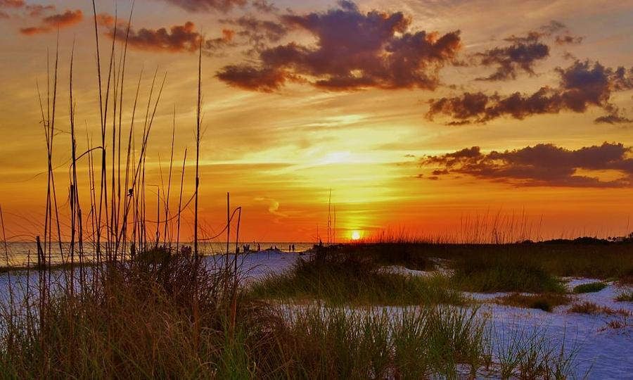 Siesta Key Photograph by Joseph Bruno Pelle - Fine Art America