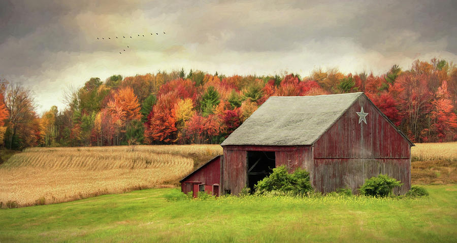 Sights and Sounds of Fall Photograph by Lori Deiter