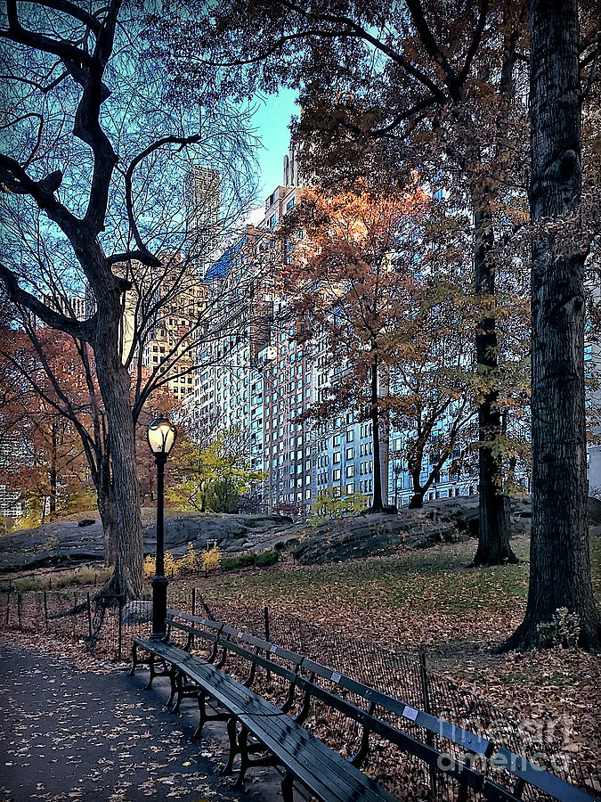 Sights in New York City - Central Park Photograph by Walt Foegelle