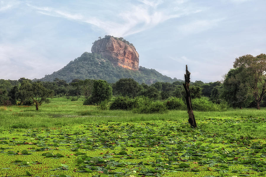 Sigiriya - Sri Lanka Photograph by Joana Kruse