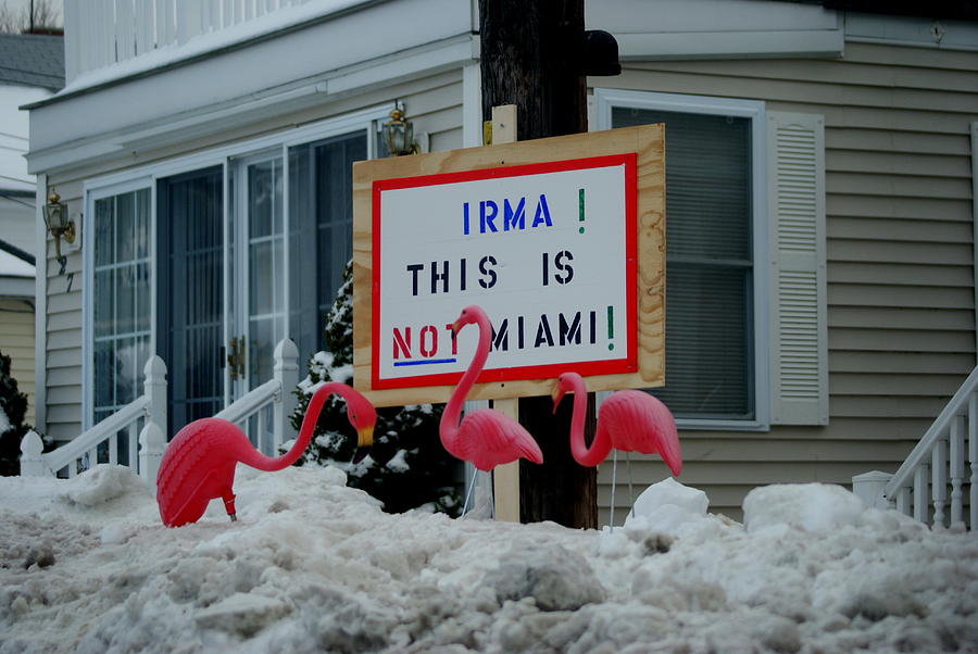 Sign at Hampton Beach NH Photograph by Lois Lepisto
