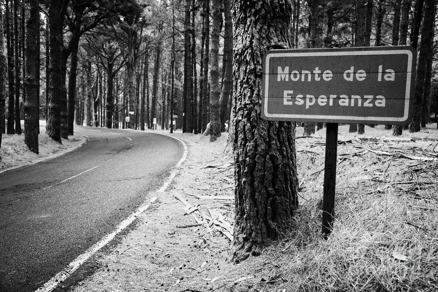 Canary Photograph - Sign For Monte De La Esperanza At Roadside Beside Tree In Tenerife Canary Islands Spain by Joe Fox