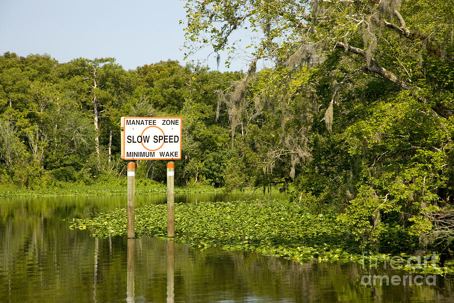 Sign On The St. Johns River Photograph by Inga Spence