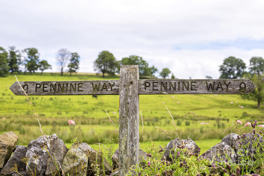 Signpost Pennine Way Photograph by Patricia Hofmeester