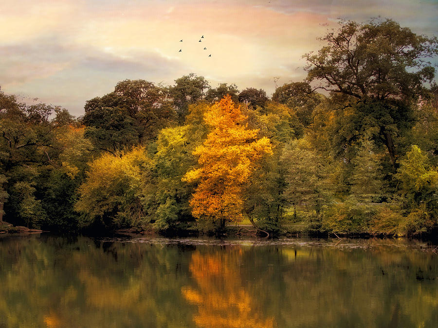 Signs of Autumn  Photograph by Jessica Jenney