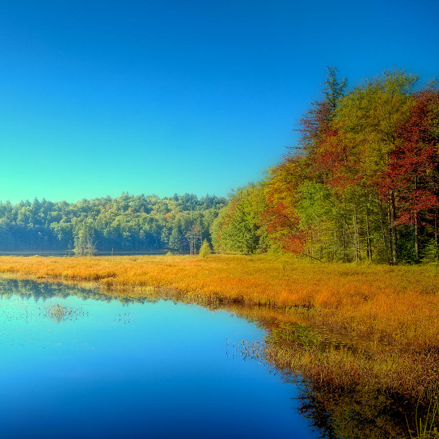 Mountain Photograph - Signs of Autumn on Cary Lake by David Patterson