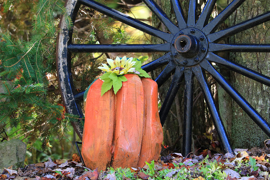 Signs of Fall by Rick Morgan Signs of Fall by Rick Morgan