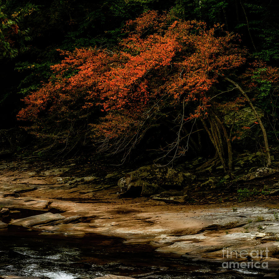 Signs of Fall Photograph by Thomas R Fletcher