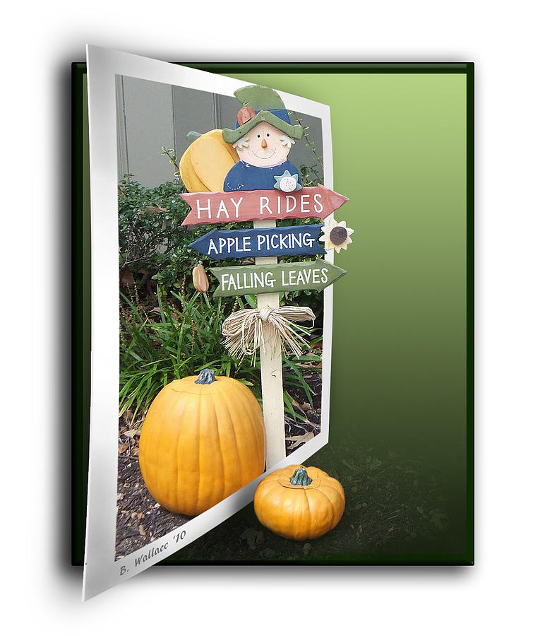 Sign Photograph - Signs Of Halloween by Brian Wallace