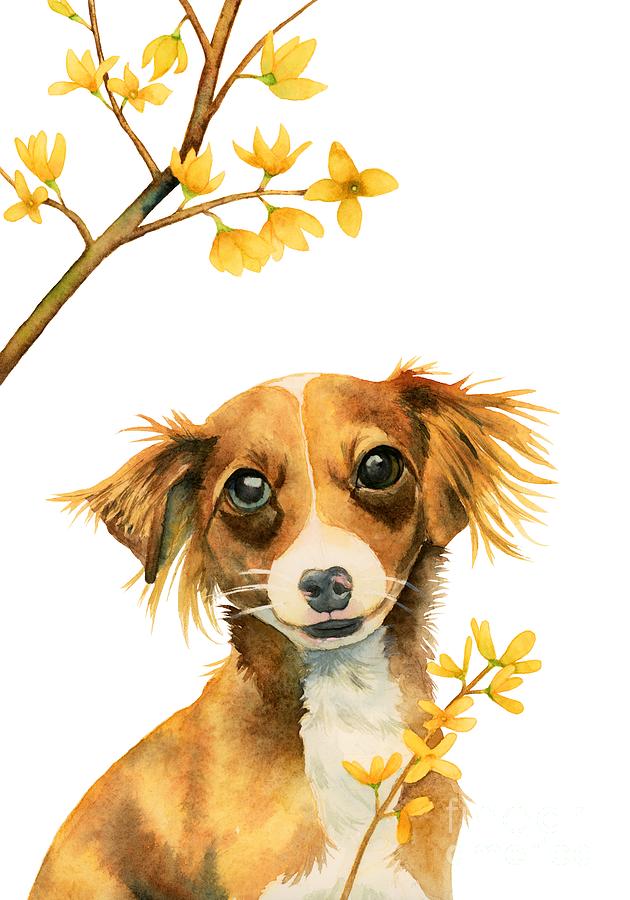 Signs Of Spring - Cute Dog With Forsythia Watercolor Painting ...