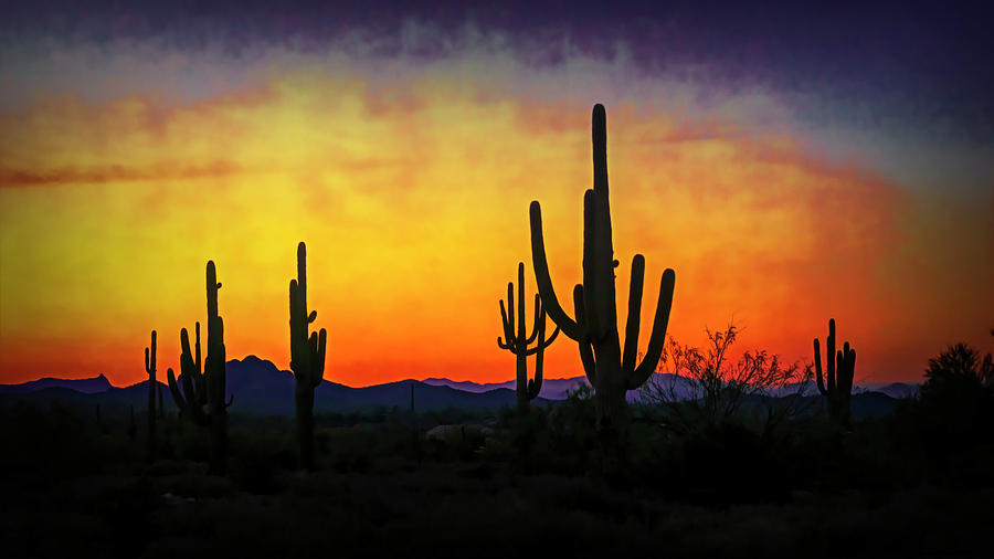 Sihouette Sunrise in the Sonoran Photograph by Saija Lehtonen