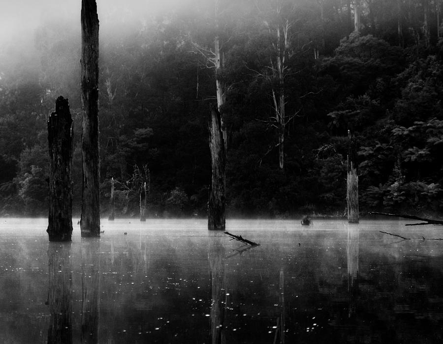 Lake Photograph - Silence 1 by Mihai Florea Lake Photograph - Silence 1 by Mihai Florea