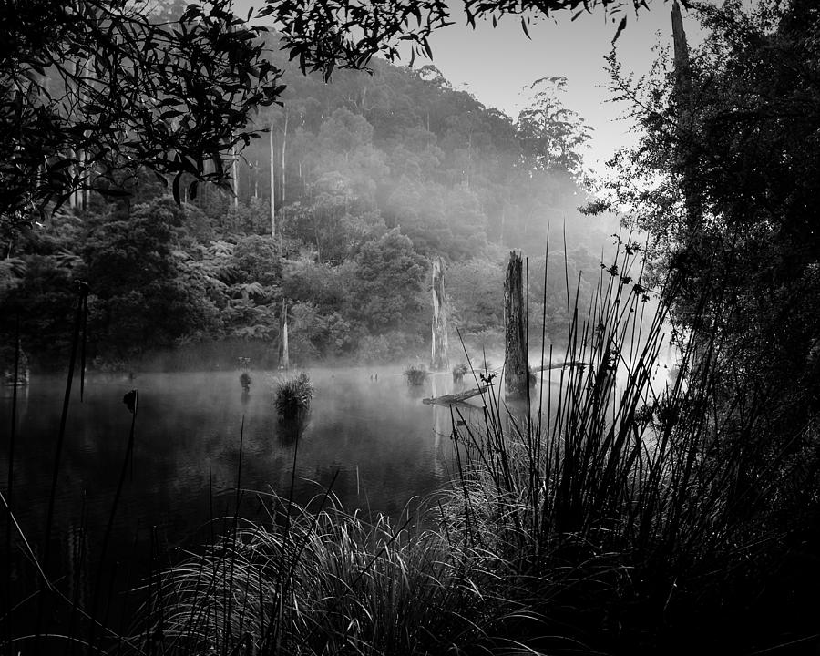 Lake Photograph - Silence 3 by Mihai Florea Lake Photograph - Silence 3 by Mihai Florea