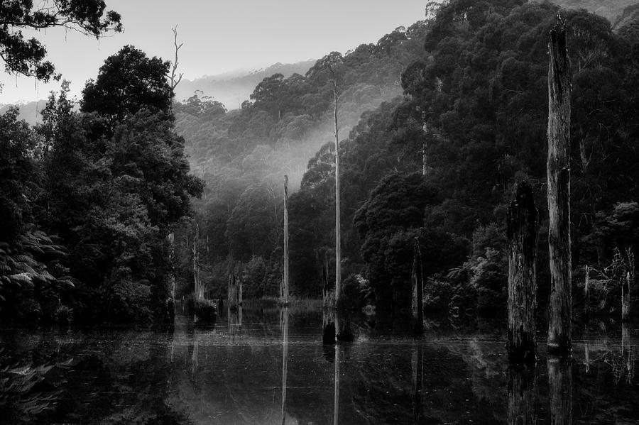 Lake Photograph - Silence 7 by Mihai Florea Lake Photograph - Silence 7 by Mihai Florea