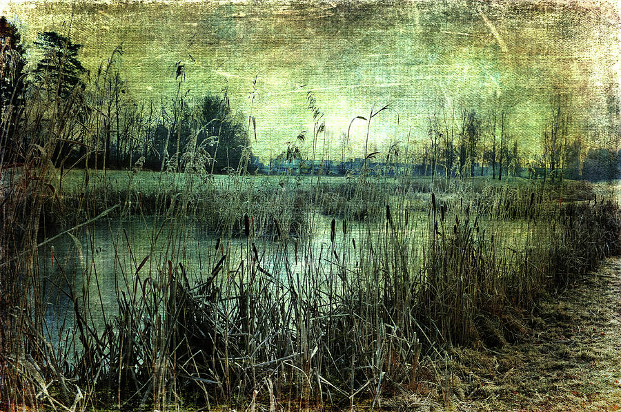 Silence by a Pond Photograph by Randi Grace Nilsberg