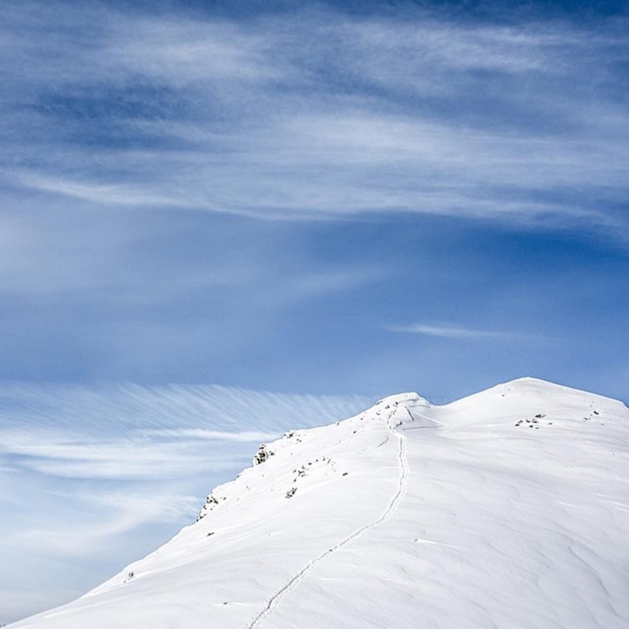 Freeride Photograph - Silence Is White And Fluffy by Mike Xavier
