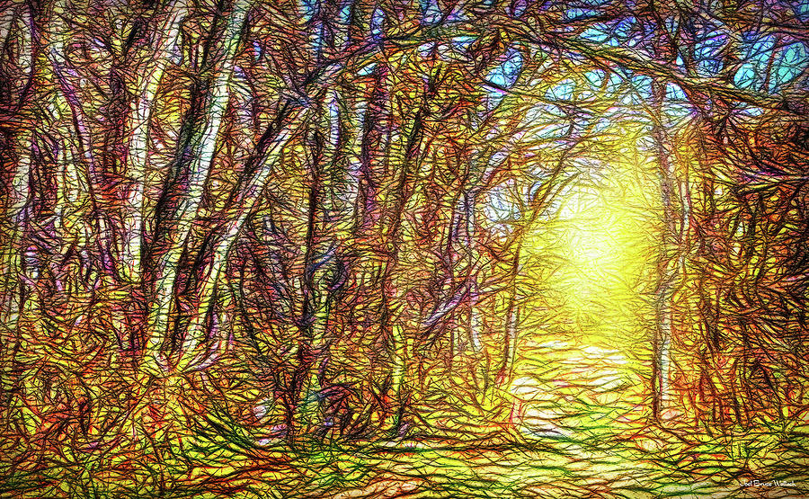 Silence Of A Forest Path Digital Art by Joel Bruce Wallach