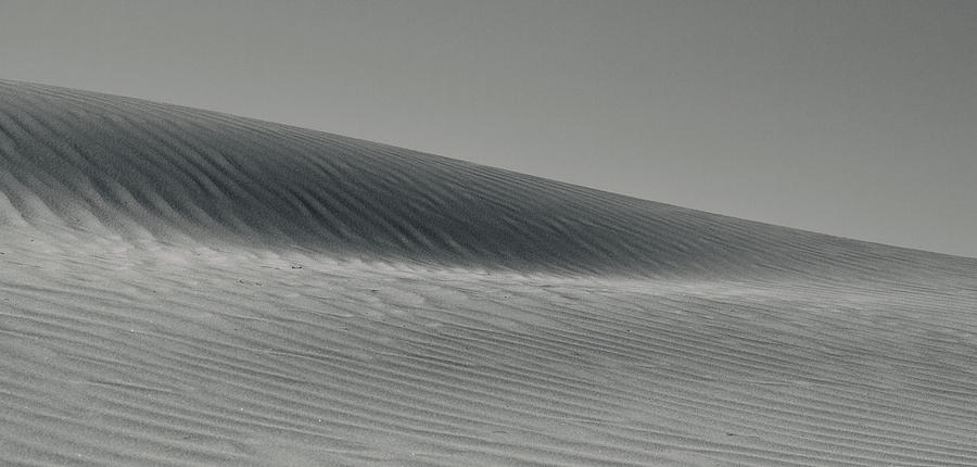 Silence on the dunes Photograph by Kunal Mehra