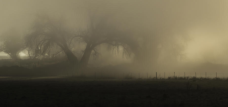 Silence Speaks in Mists-2 Photograph by Rae Ann  M Garrett