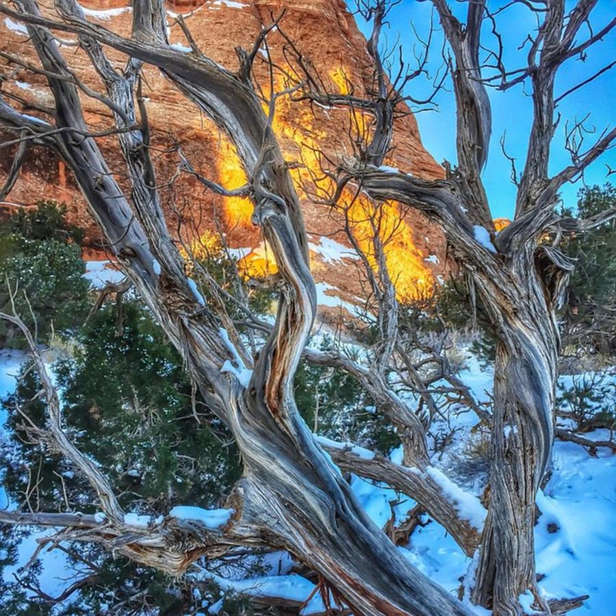 Winter Photograph - Silence #winter #snow #park by Jonathan Nguyen