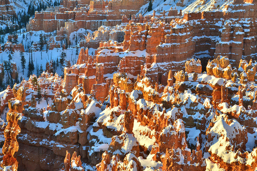Silent City Snowy Hoodoos Photograph by Ray Mathis