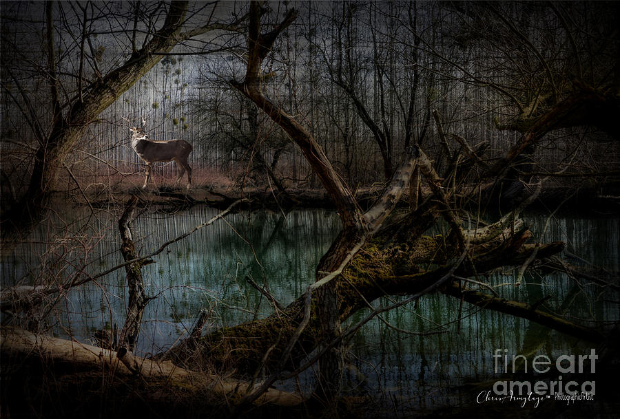 Silent Forest Digital Art