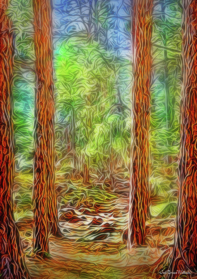 Silent Forest Path Digital Art by Joel Bruce Wallach