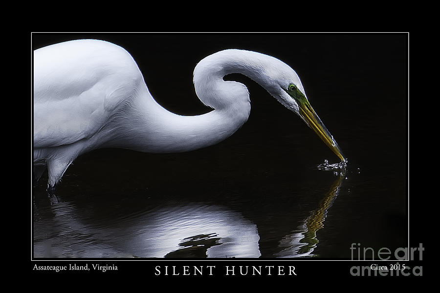 Silent Hunter Photograph by  Gene  Bleile Photography 