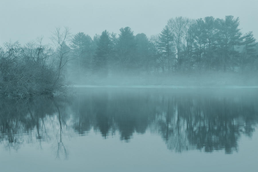 Nature Photograph - Silent Morning by Iryna Goodall