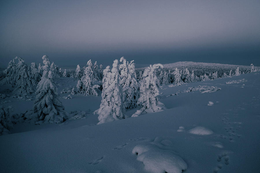Winter Photograph - Silent Night by Aldona Pivoriene