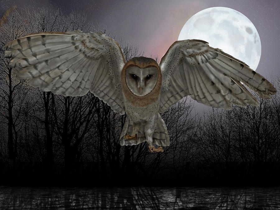 Silent Night by Nigel Follett Silent Night by Nigel Follett