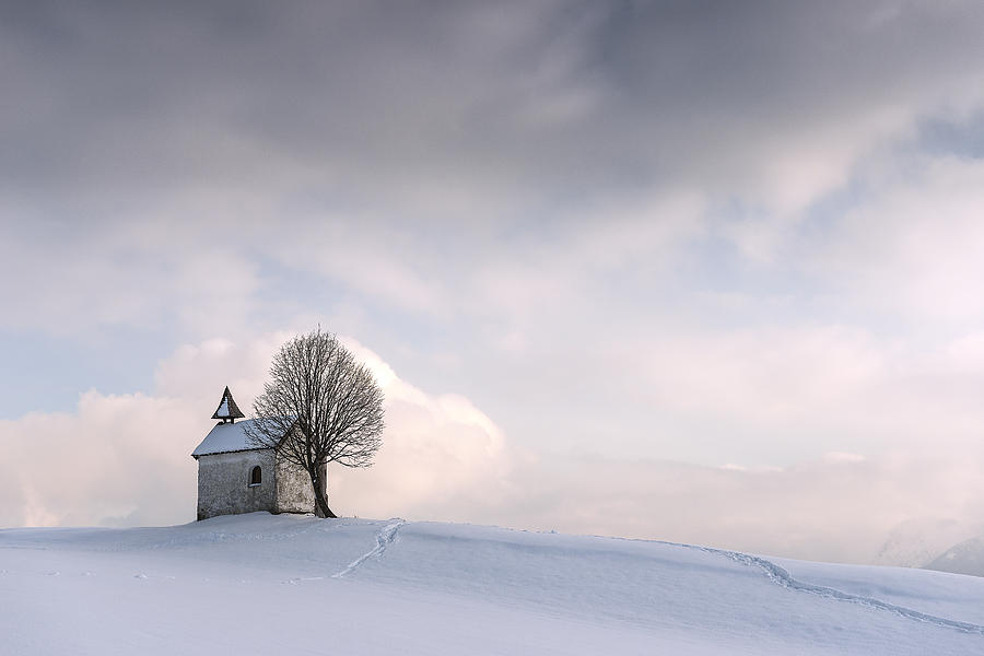 Winter Photograph - Silent by Nina Pauli