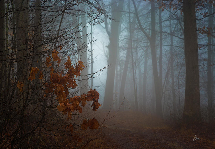 Silent Places Photograph by Ron Jones - Fine Art America