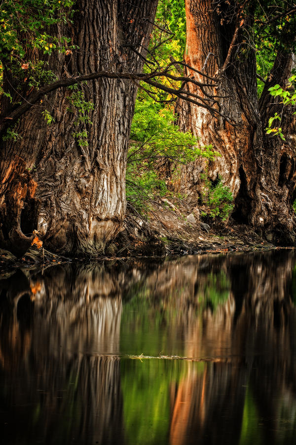 Silent River Photograph by Scott Read