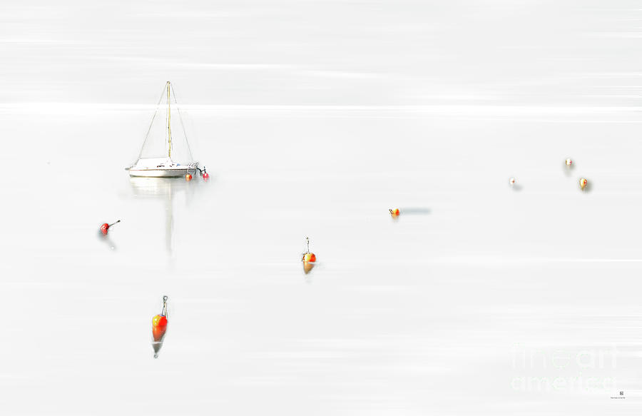 Silent Sailing Photograph by Hannes Cmarits