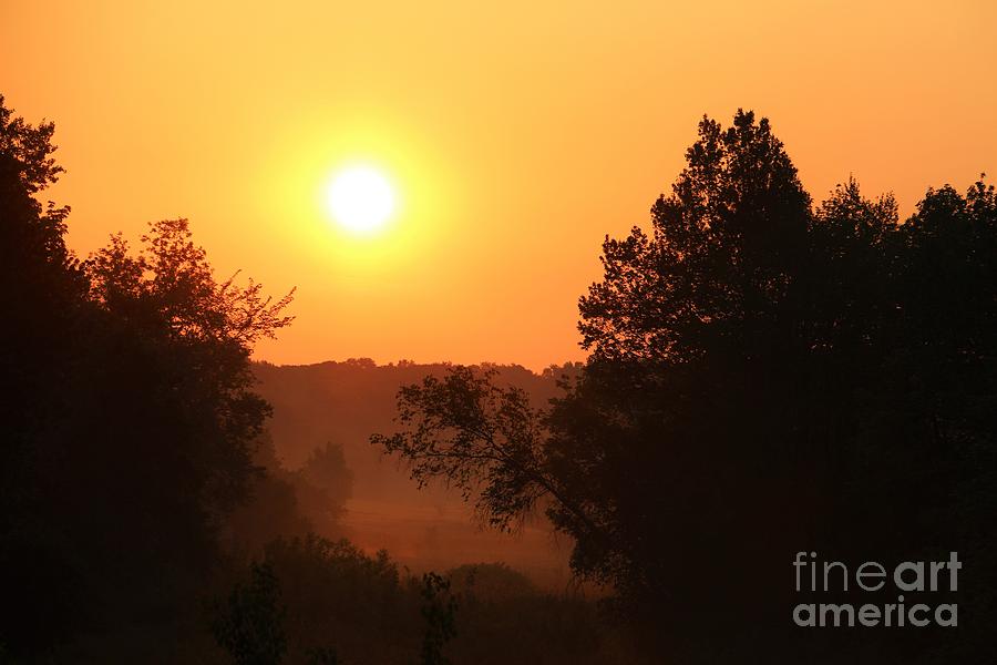 Silent Sun Photograph by Neal Eslinger