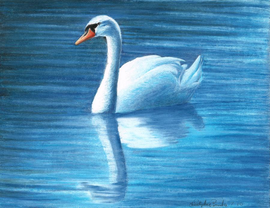 Silent Tranquility Drawing by Christopher Brooks - Fine Art America