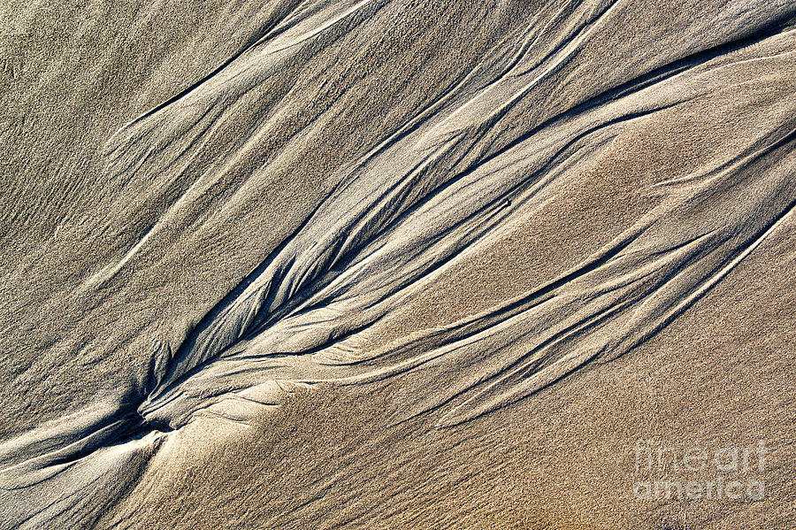 Pattern Photograph - Silent Wings by Tim Gainey