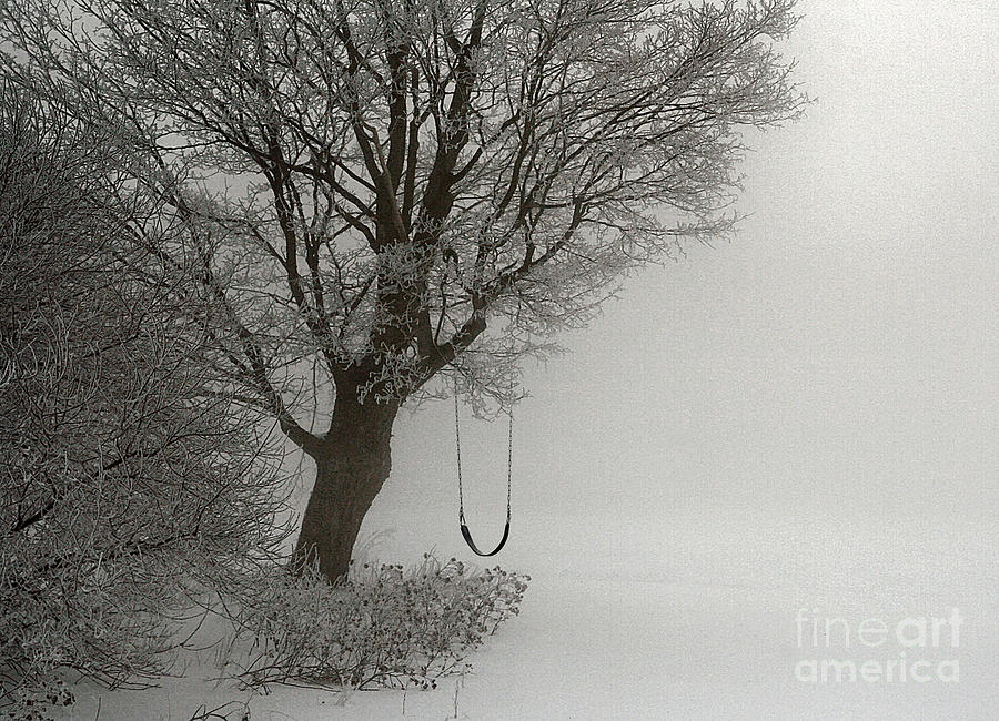 Silently Swinging Photograph by Jan Piller