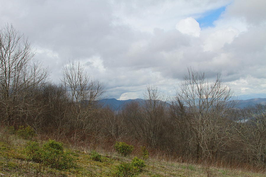Mountain Photograph - Silers Bald 2015b by Cathy Lindsey
