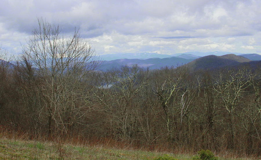 Mountain Photograph - Silers Bald 2015c by Cathy Lindsey
