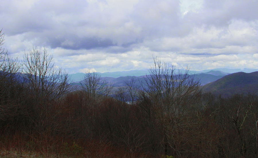 Mountain Photograph - Silers Bald 2015d by Cathy Lindsey