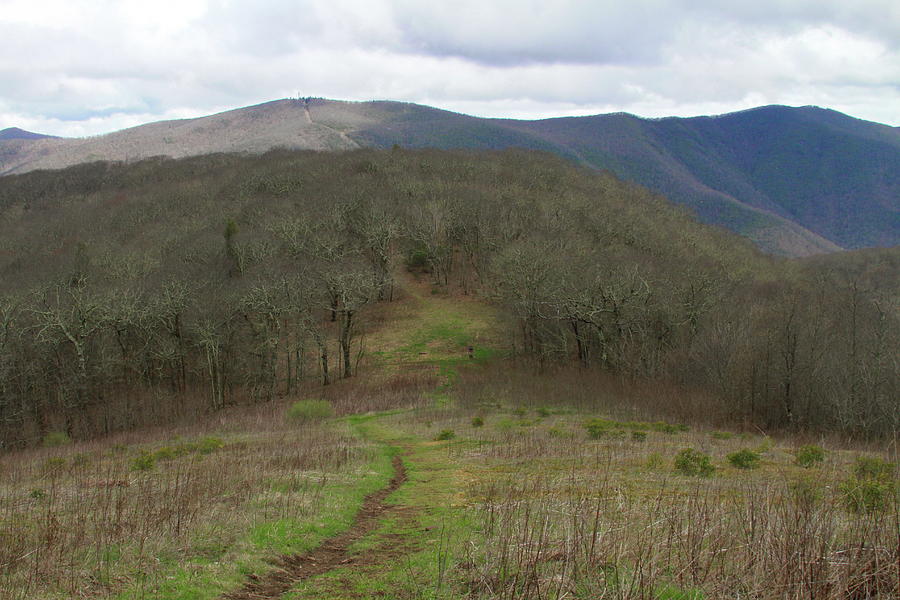 Mountain Photograph - Silers Bald 2015e by Cathy Lindsey