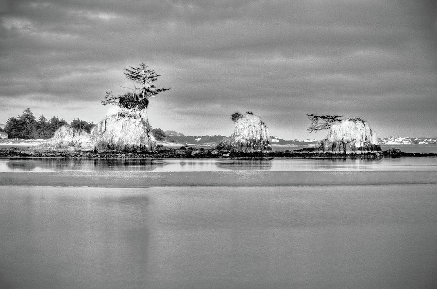 Siletz Bay Oregon Black and White Photograph by Connie Cooper-Edwards