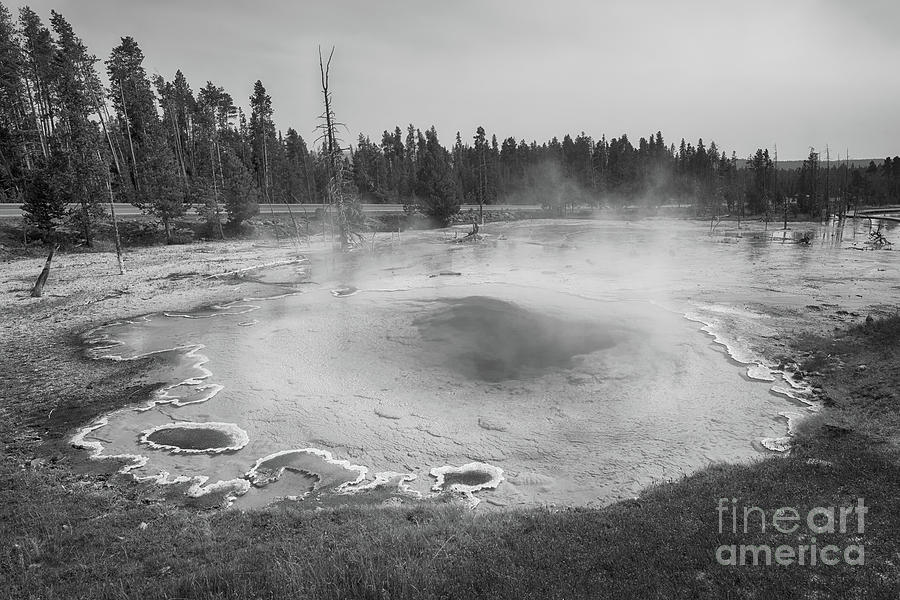 Yellowstone National Park Photograph - Silex Spring BW  by Michael Ver Sprill