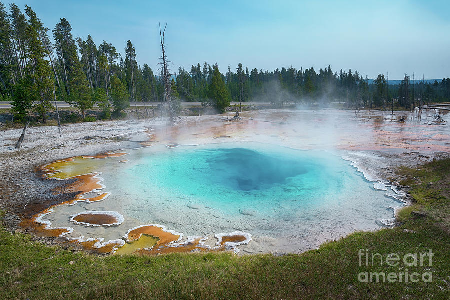 Yellowstone National Park Photograph - Silex Spring by Michael Ver Sprill